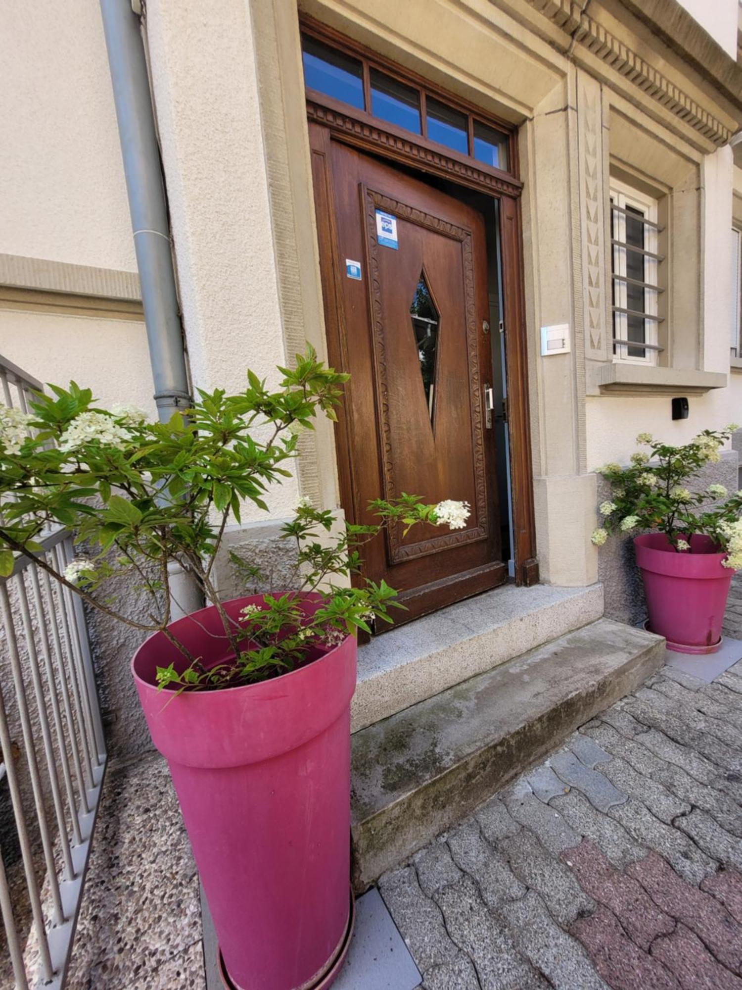 Le Cocon D'Emma, Appartement Bourgeois Avec Terrasse, Et Parking Gratuit Dans Maison De Maitre Strasbourg Extérieur photo